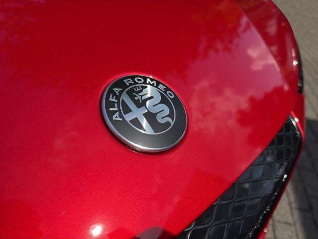 Fahrzeugbild eines Alfa Romeo Junior