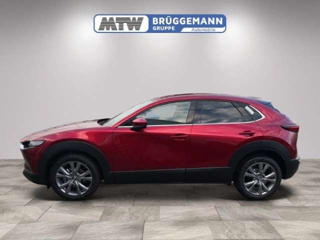 Fahrzeugbild eines Mazda CX-30