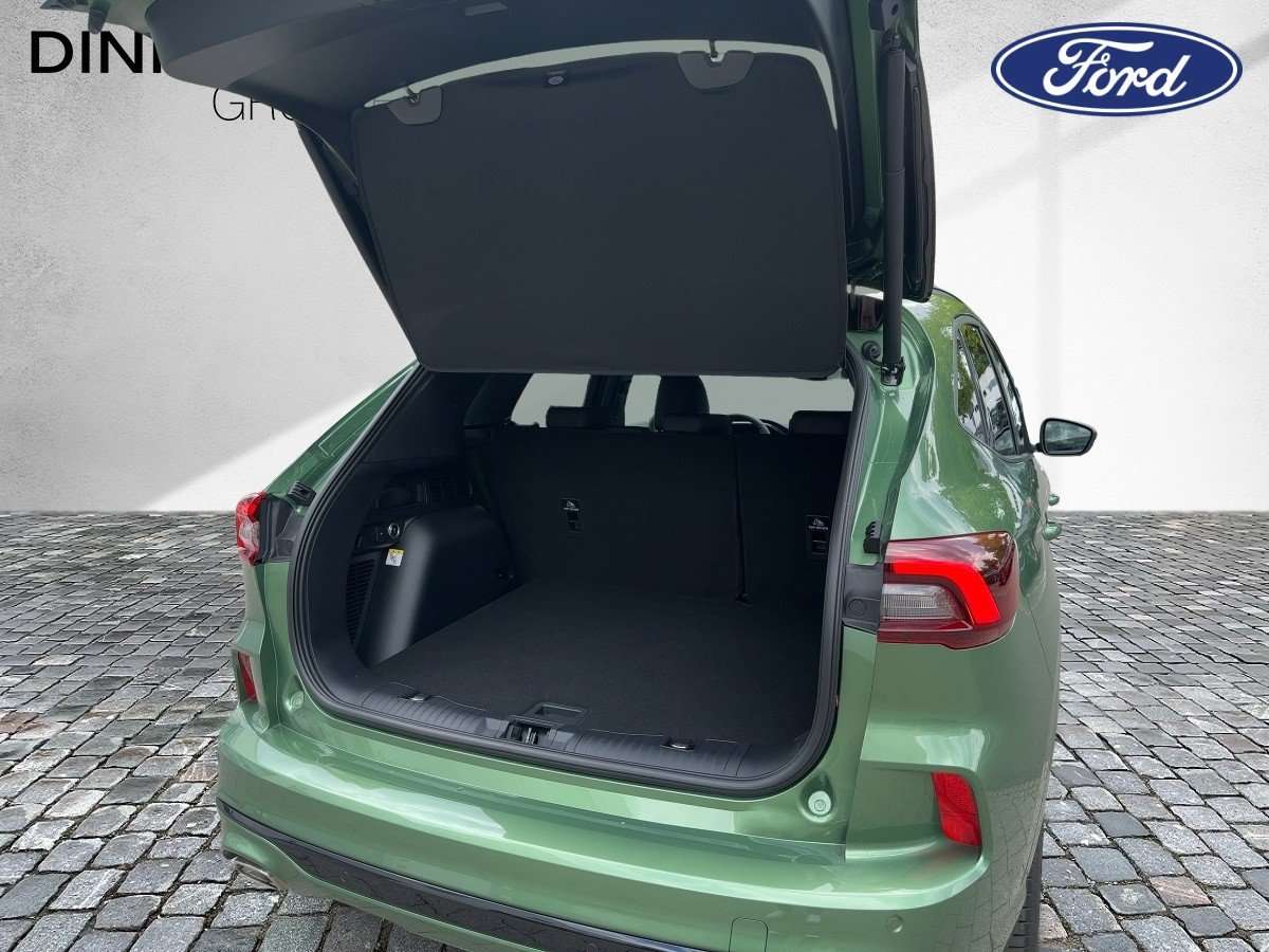 Fahrzeugbild eines Ford Kuga