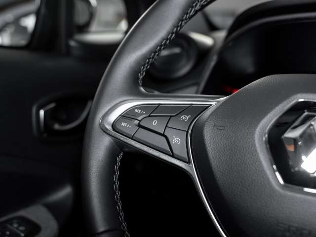 Fahrzeugbild eines Renault ZOE