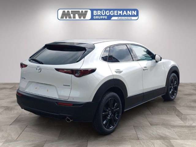 Fahrzeugbild eines Mazda CX-30