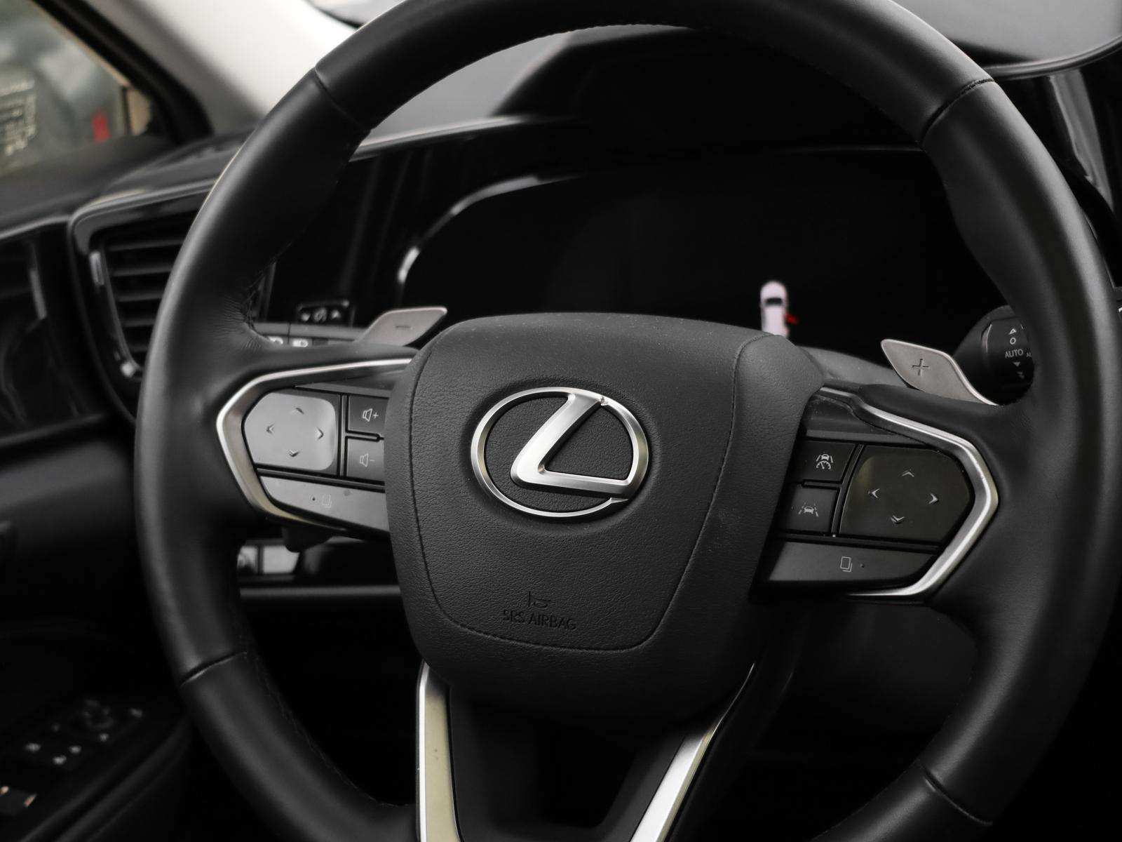 Fahrzeugbild eines Lexus NX