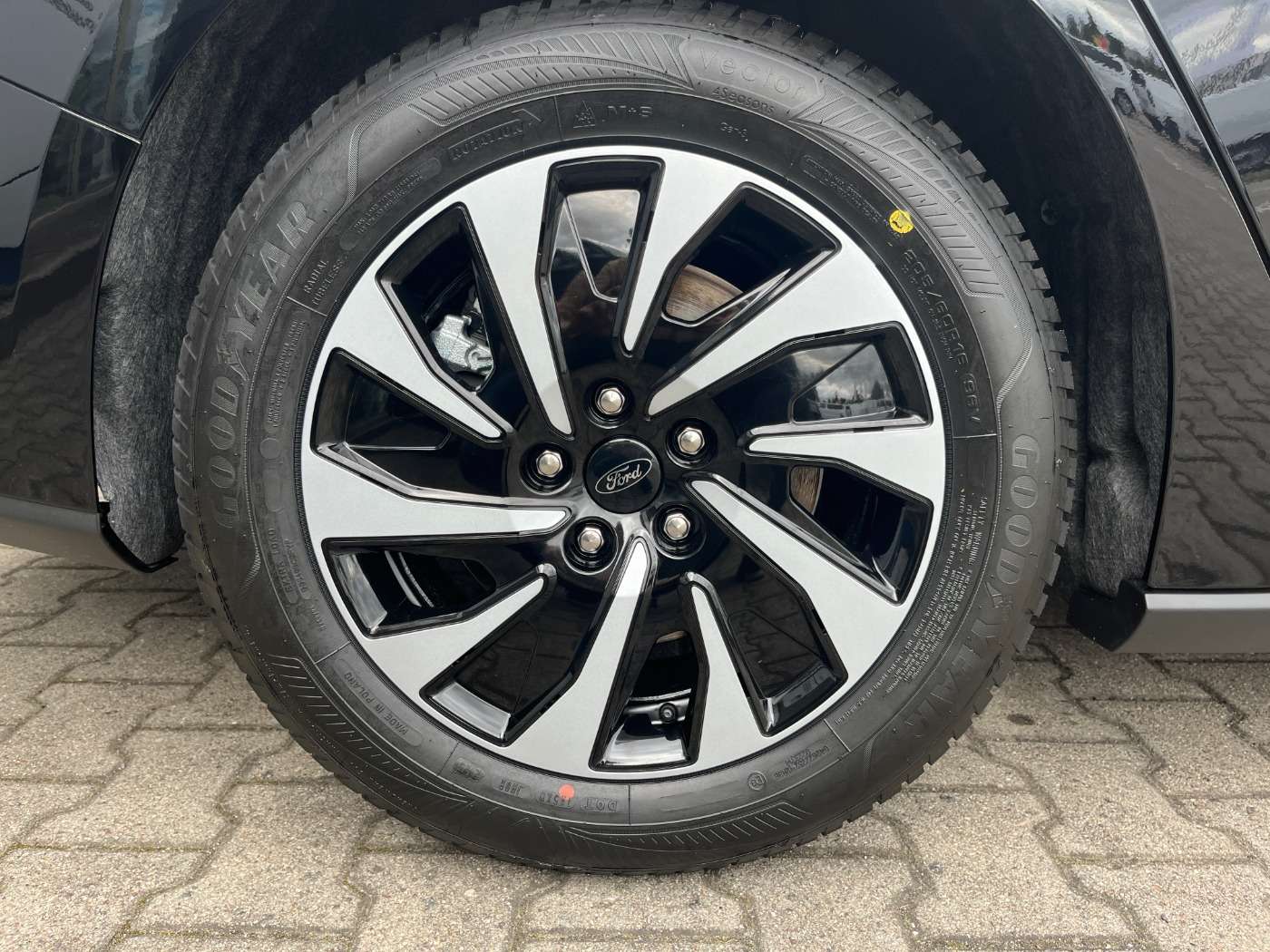 Fahrzeugbild eines Ford Focus