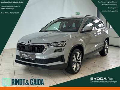 Bild Skoda Karoq