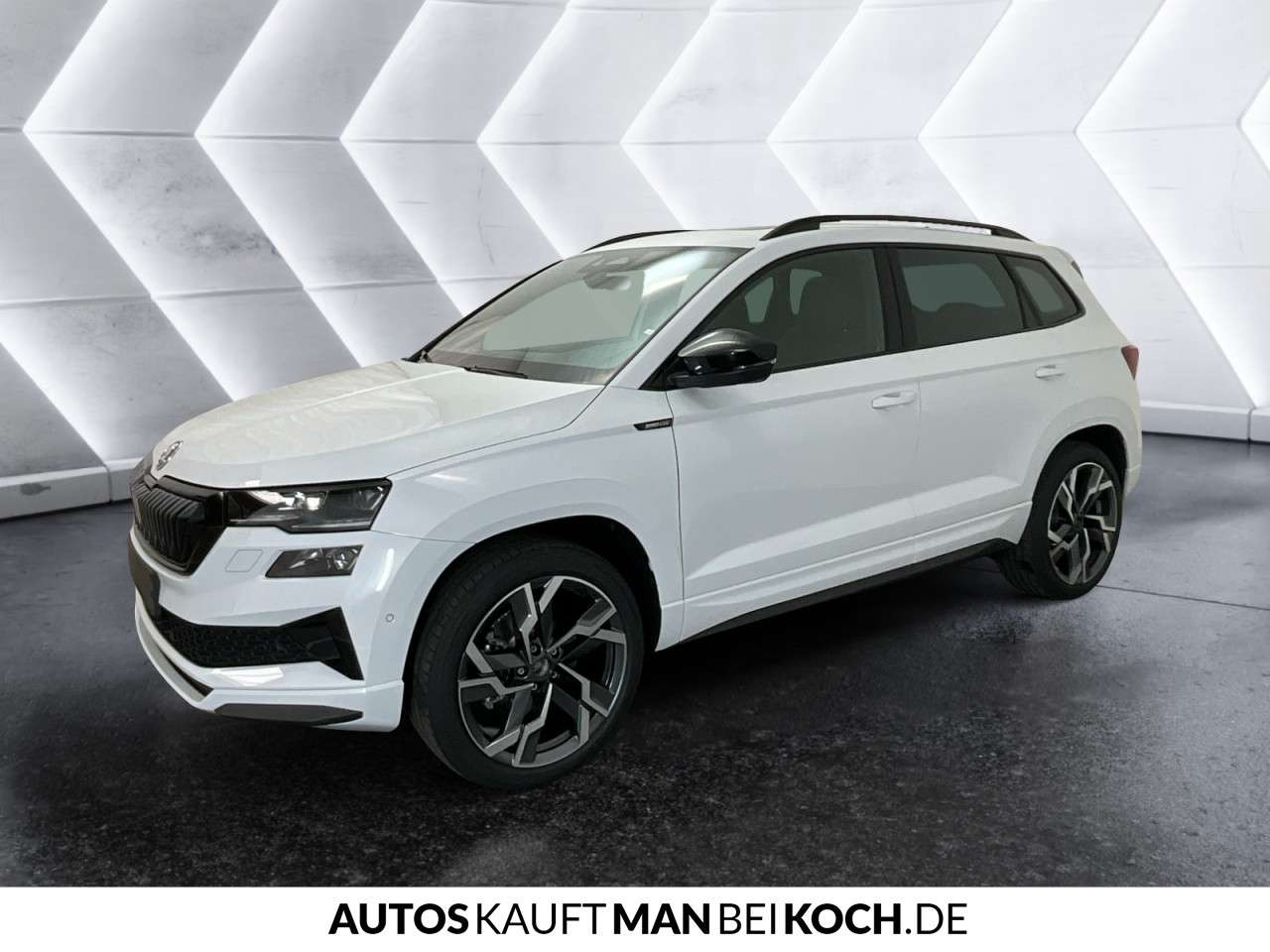 Fahrzeugbild eines Skoda Karoq