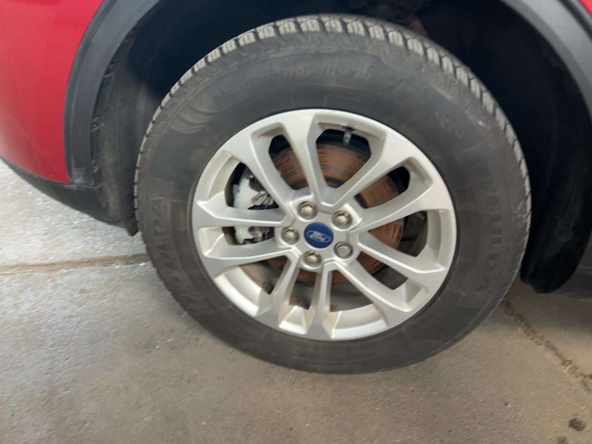 Fahrzeugbild eines Ford Kuga