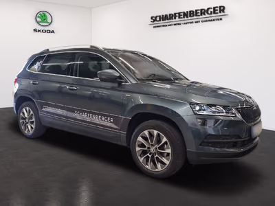 Bild Skoda Karoq