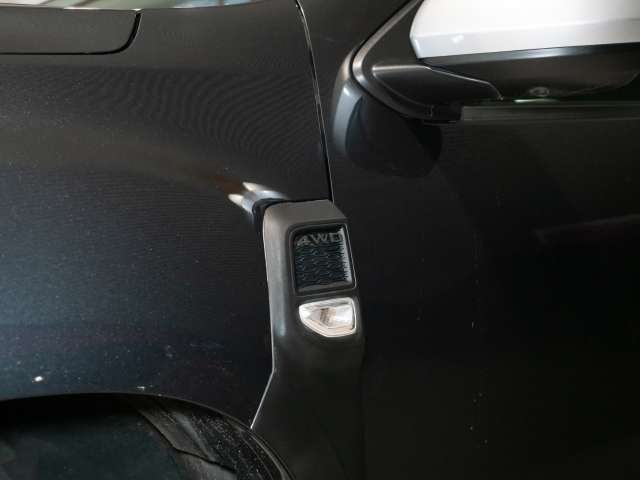 Fahrzeugbild eines Dacia Duster