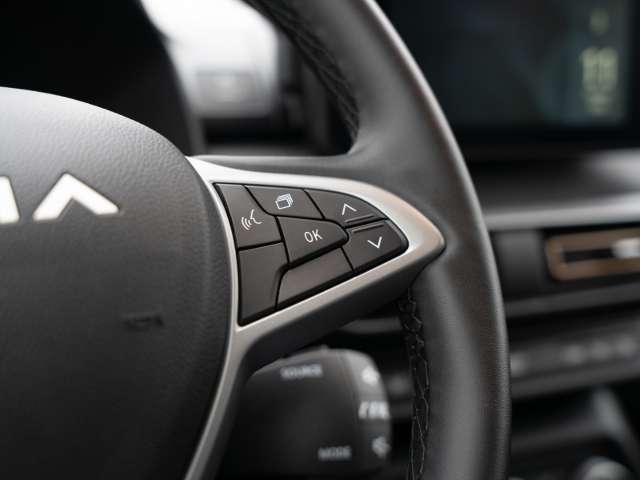 Fahrzeugbild eines Dacia Jogger