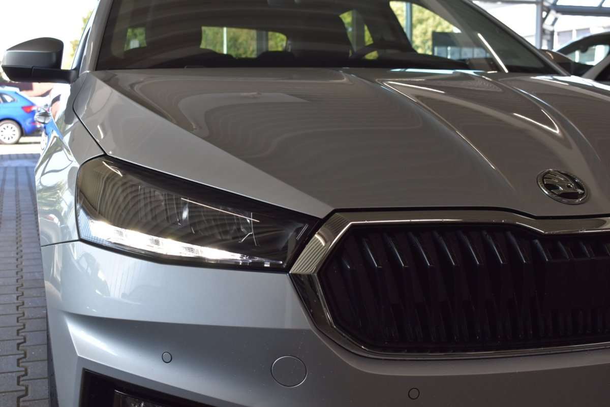 Fahrzeugbild eines Skoda Fabia