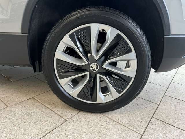 Fahrzeugbild eines Skoda Karoq