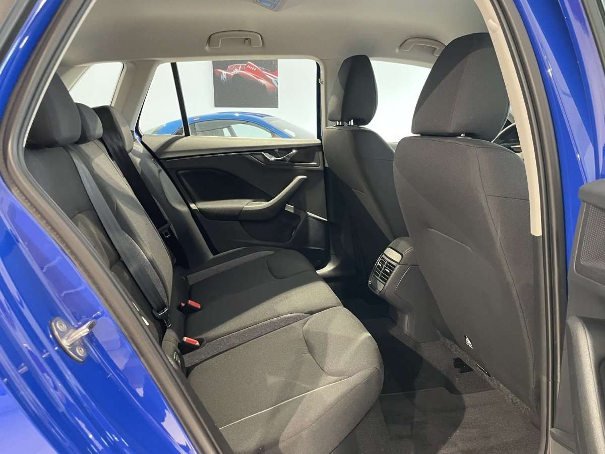 Fahrzeugbild eines Skoda Kamiq
