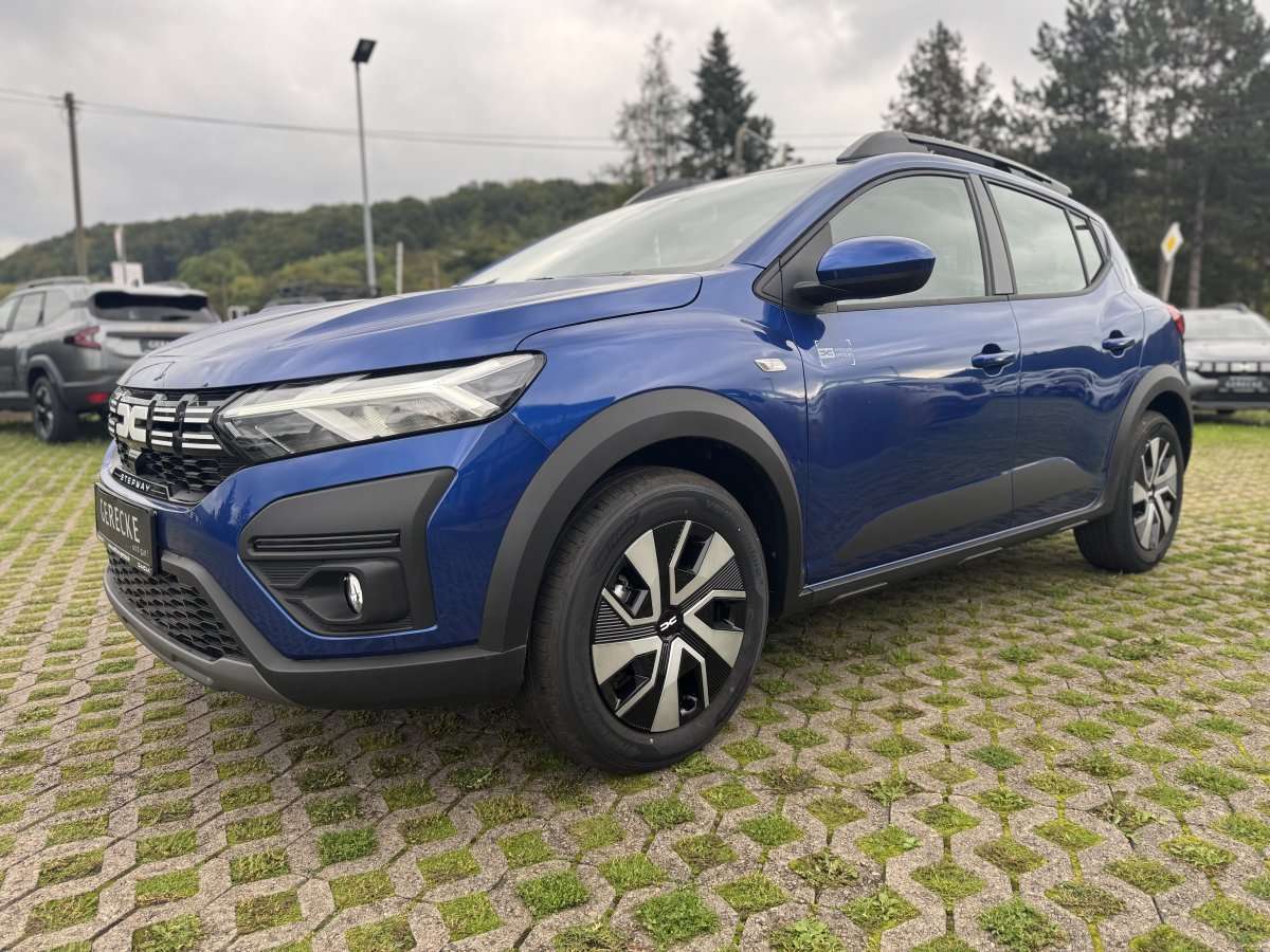 Fahrzeugbild eines Dacia Sandero