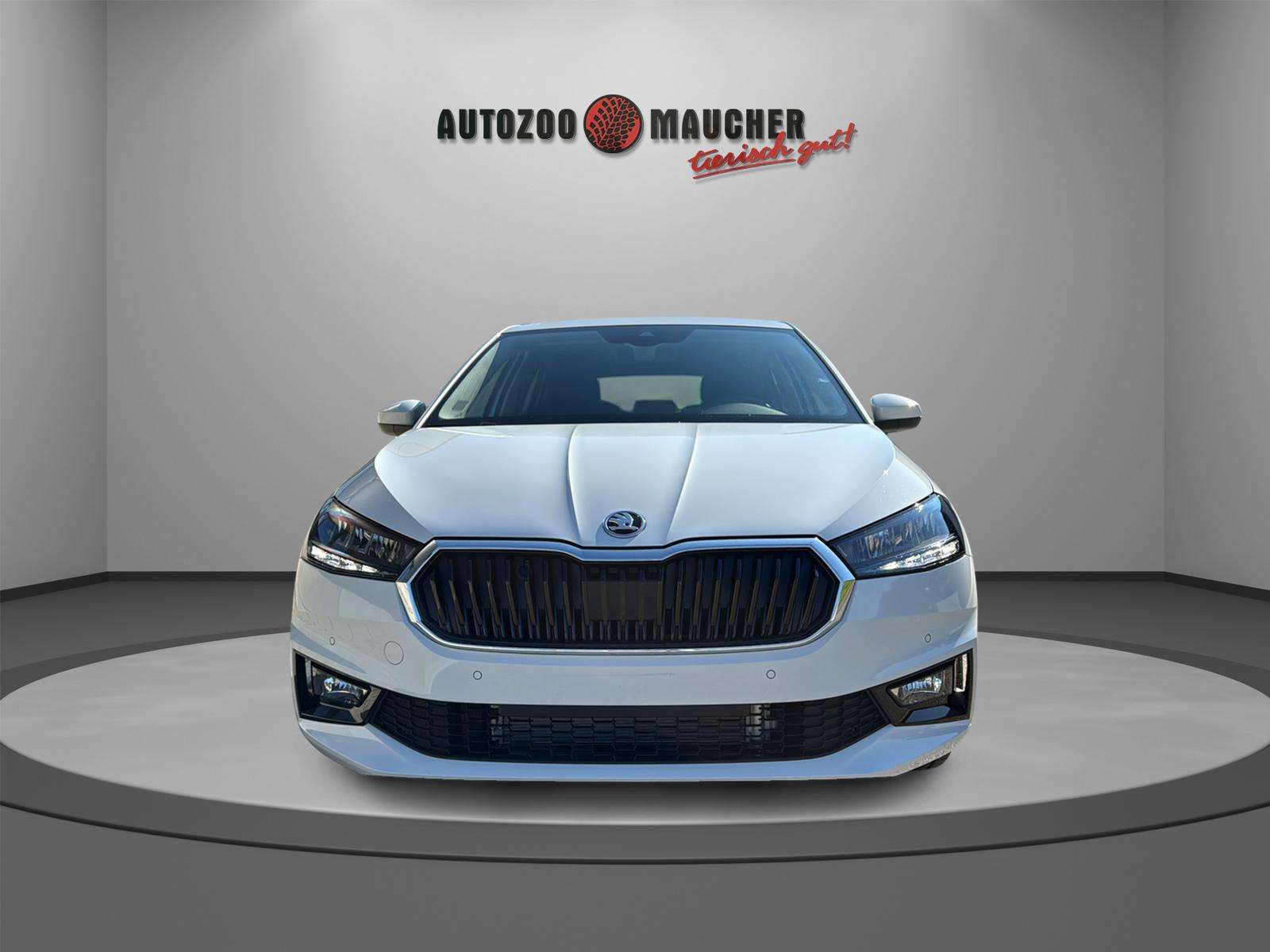 Fahrzeugbild eines Skoda Fabia