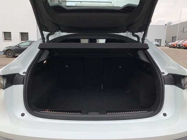 Fahrzeugbild eines Renault Rafale