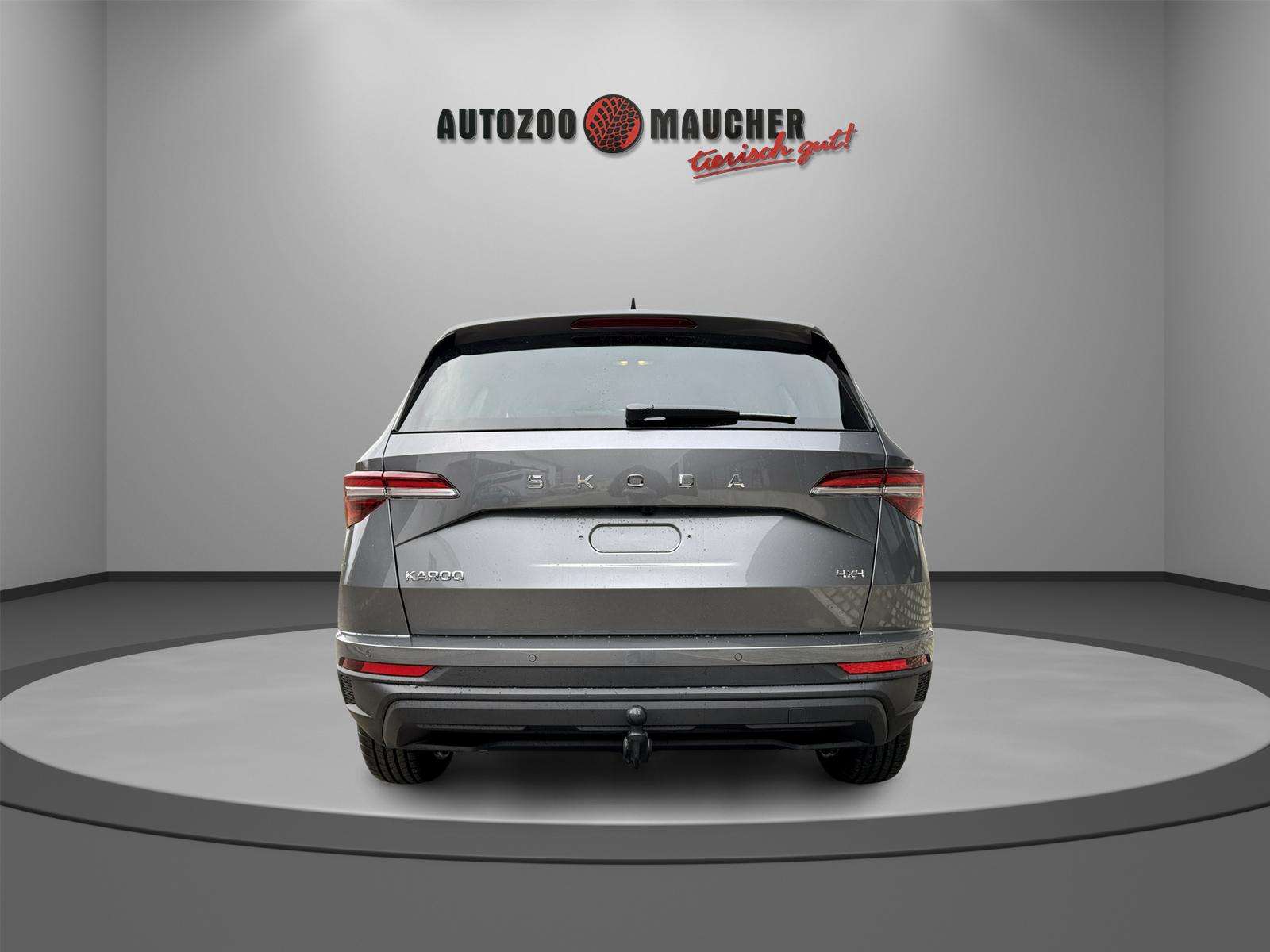 Fahrzeugbild eines Skoda Karoq