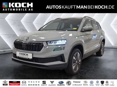 Bild Skoda Karoq