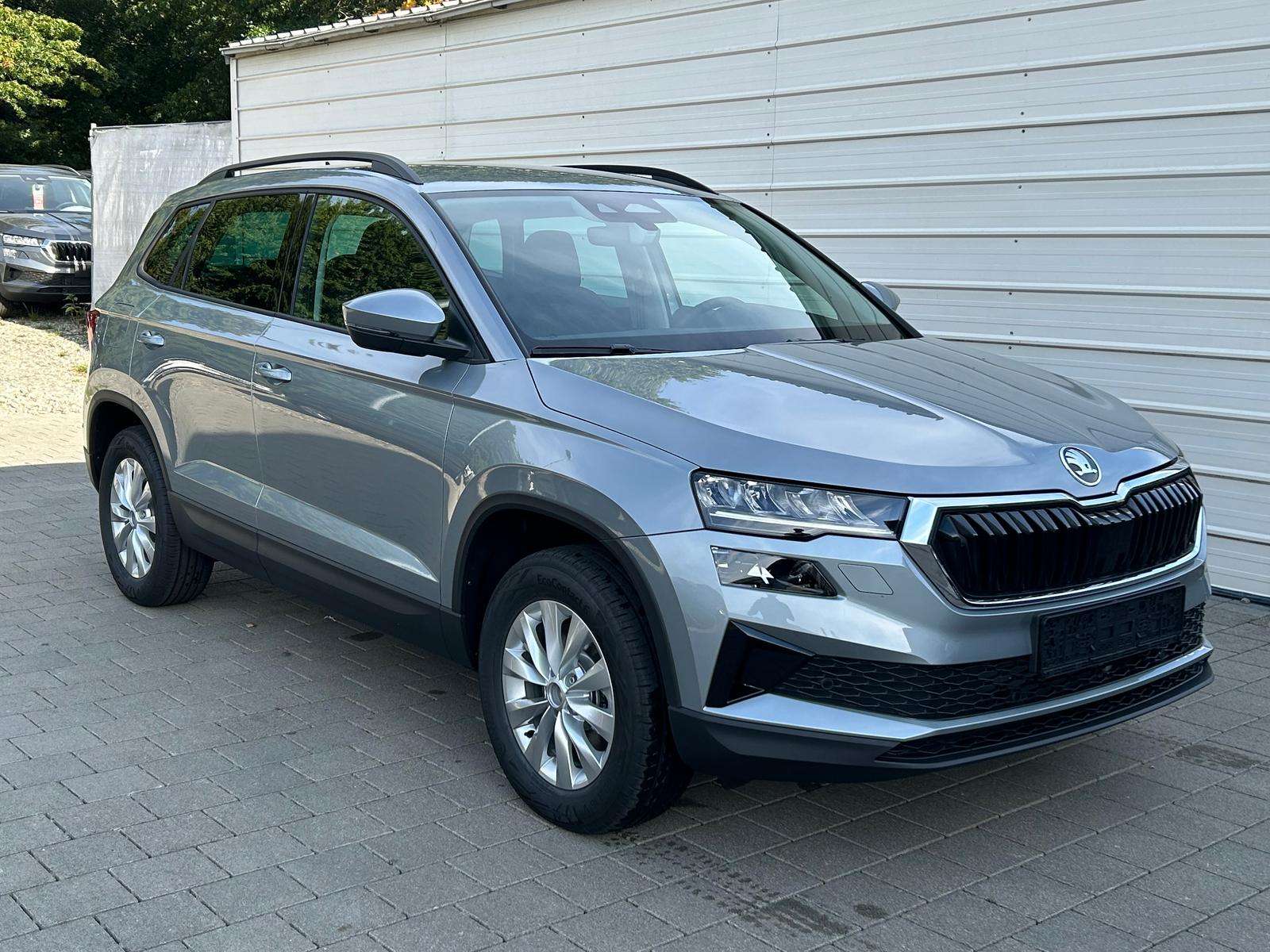 Fahrzeugbild eines Skoda Karoq