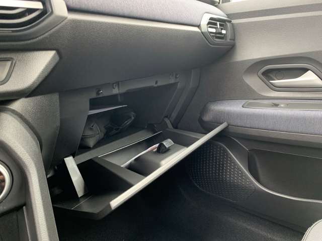 Fahrzeugbild eines Dacia Sandero