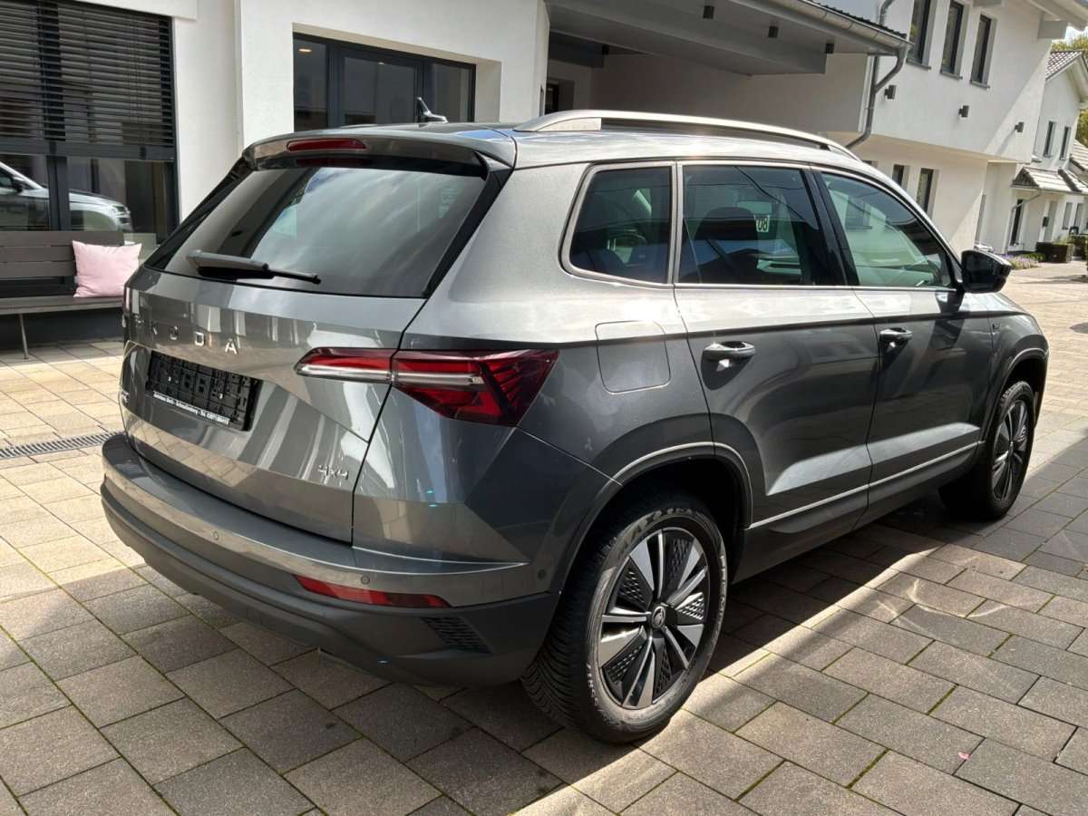 Fahrzeugbild eines Skoda Karoq