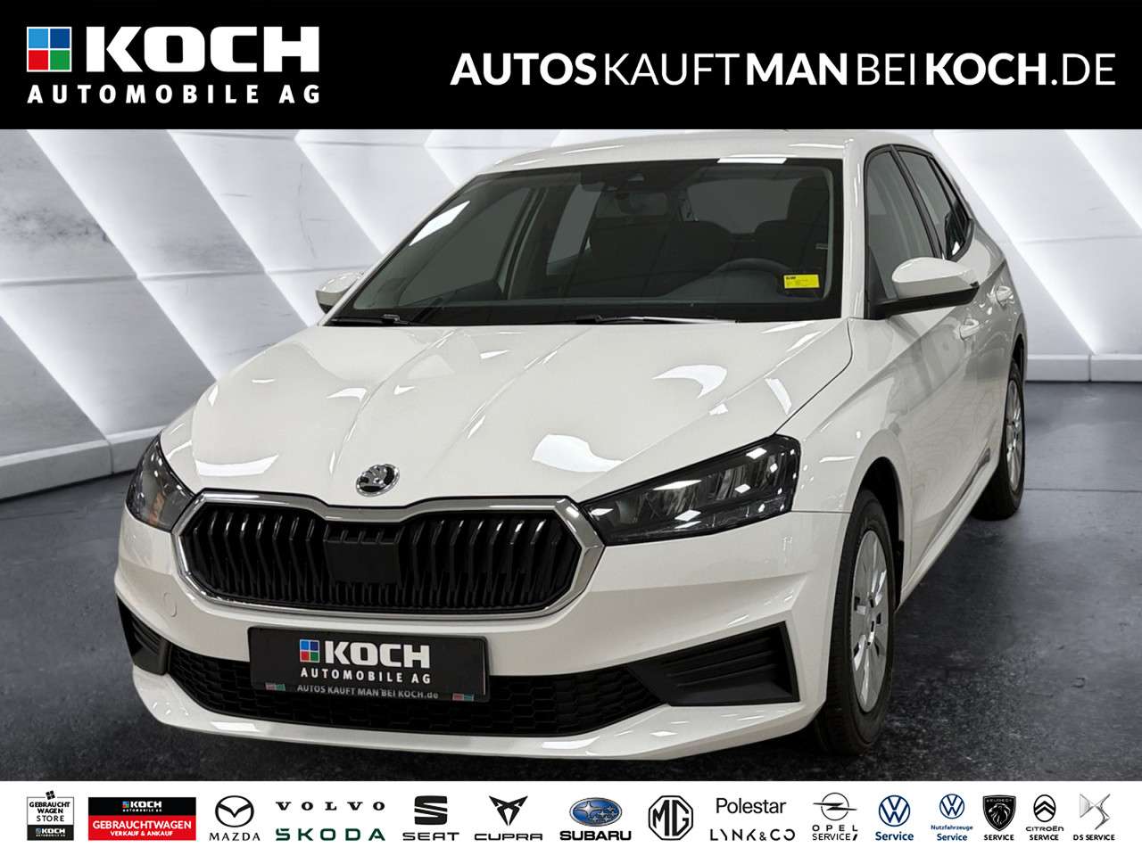 Fahrzeugbild eines Skoda Fabia