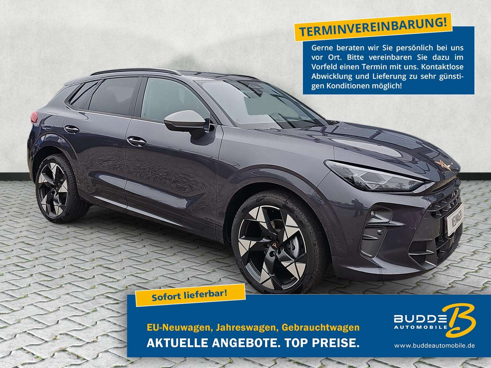 Fahrzeugbild eines CUPRA Terramar