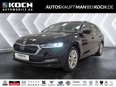 Bild Skoda Octavia