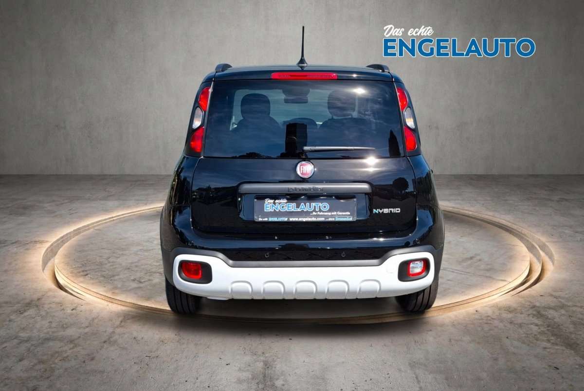 Fahrzeugbild eines Fiat Panda