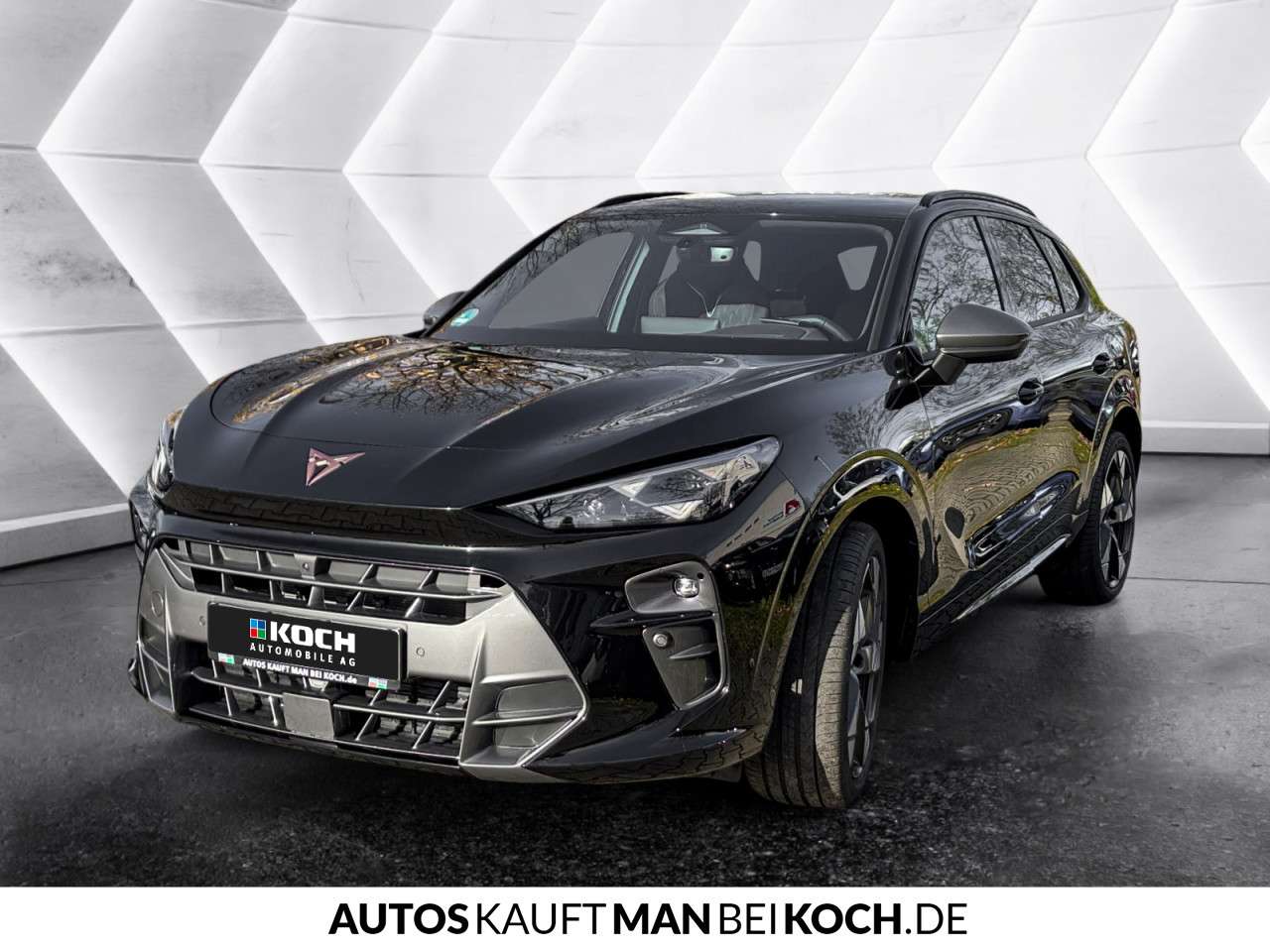 Fahrzeugbild eines CUPRA Terramar