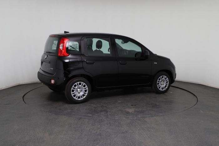 Fahrzeugbild eines Fiat Panda