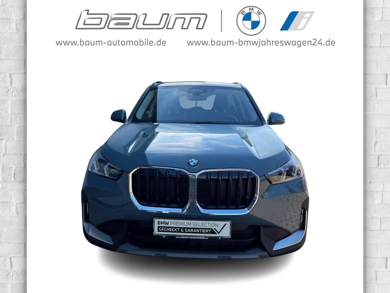 Fahrzeugbild eines BMW X1