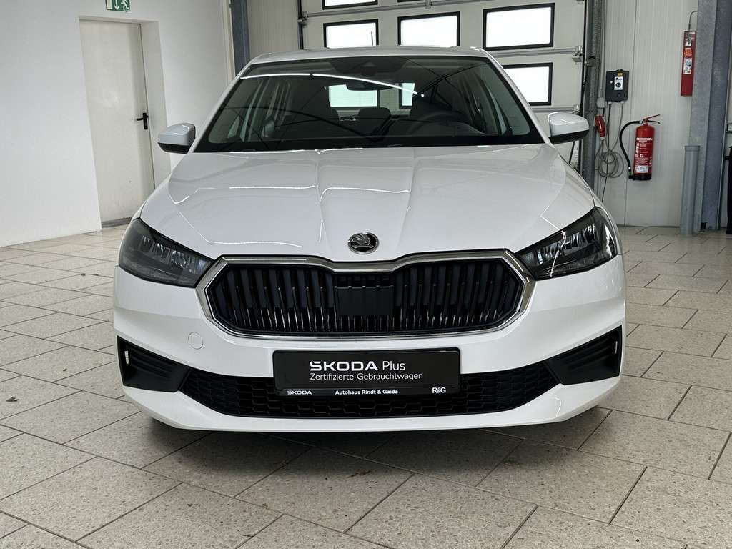 Fahrzeugbild eines Skoda Fabia