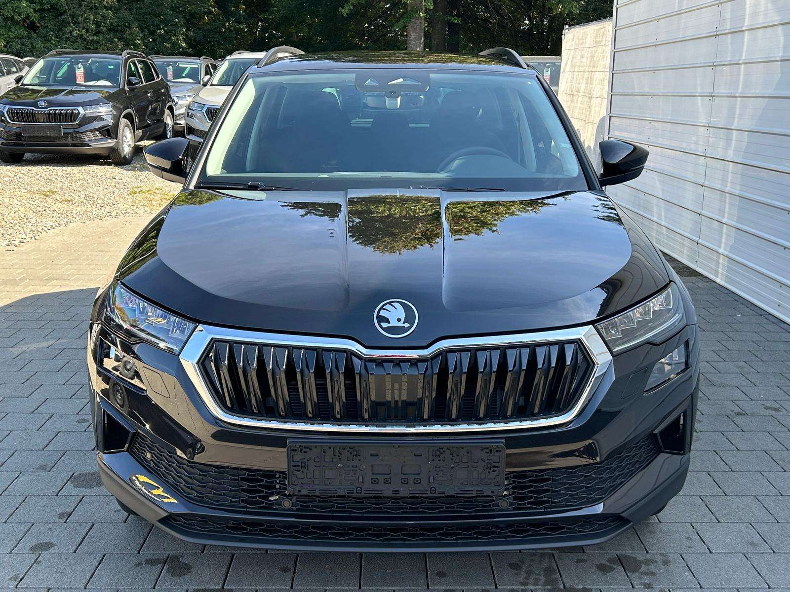 Fahrzeugbild eines Skoda Karoq