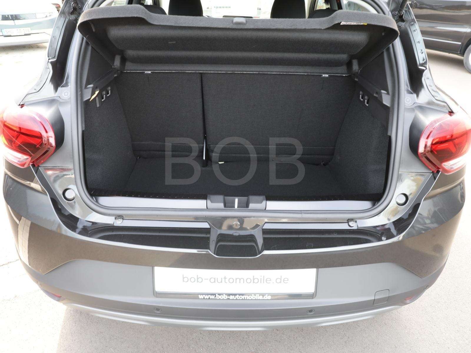 Fahrzeugbild eines Dacia Sandero