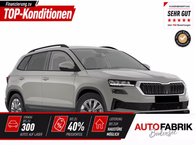 Bild Skoda Karoq