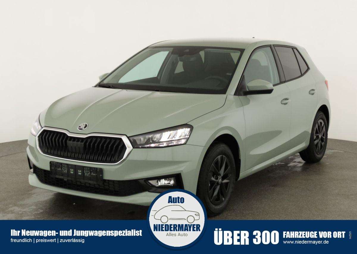 Fahrzeugbild eines Skoda Fabia