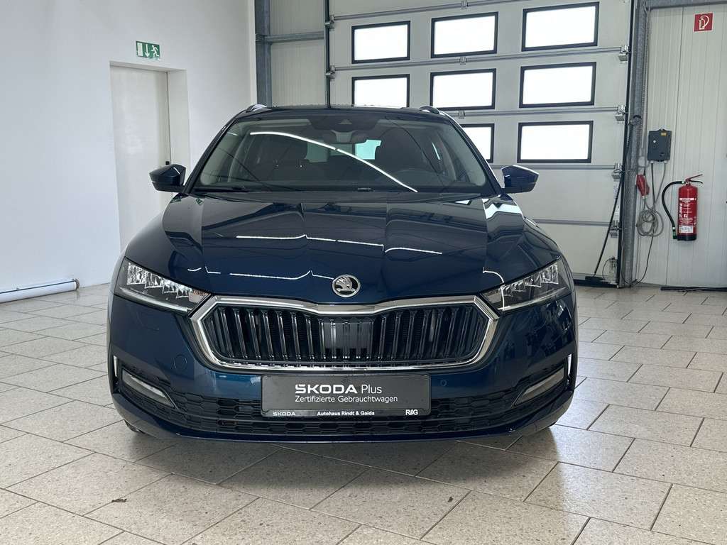 Fahrzeugbild eines Skoda Octavia