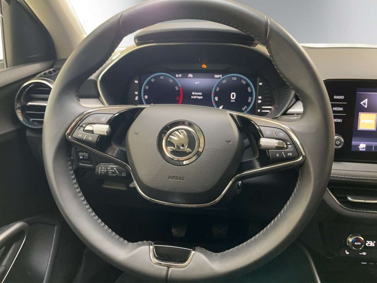 Fahrzeugbild eines Skoda Fabia