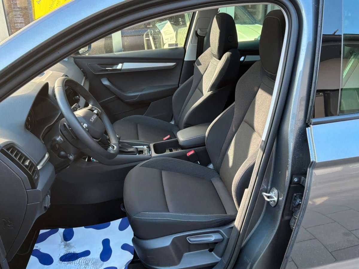 Fahrzeugbild eines Skoda Karoq
