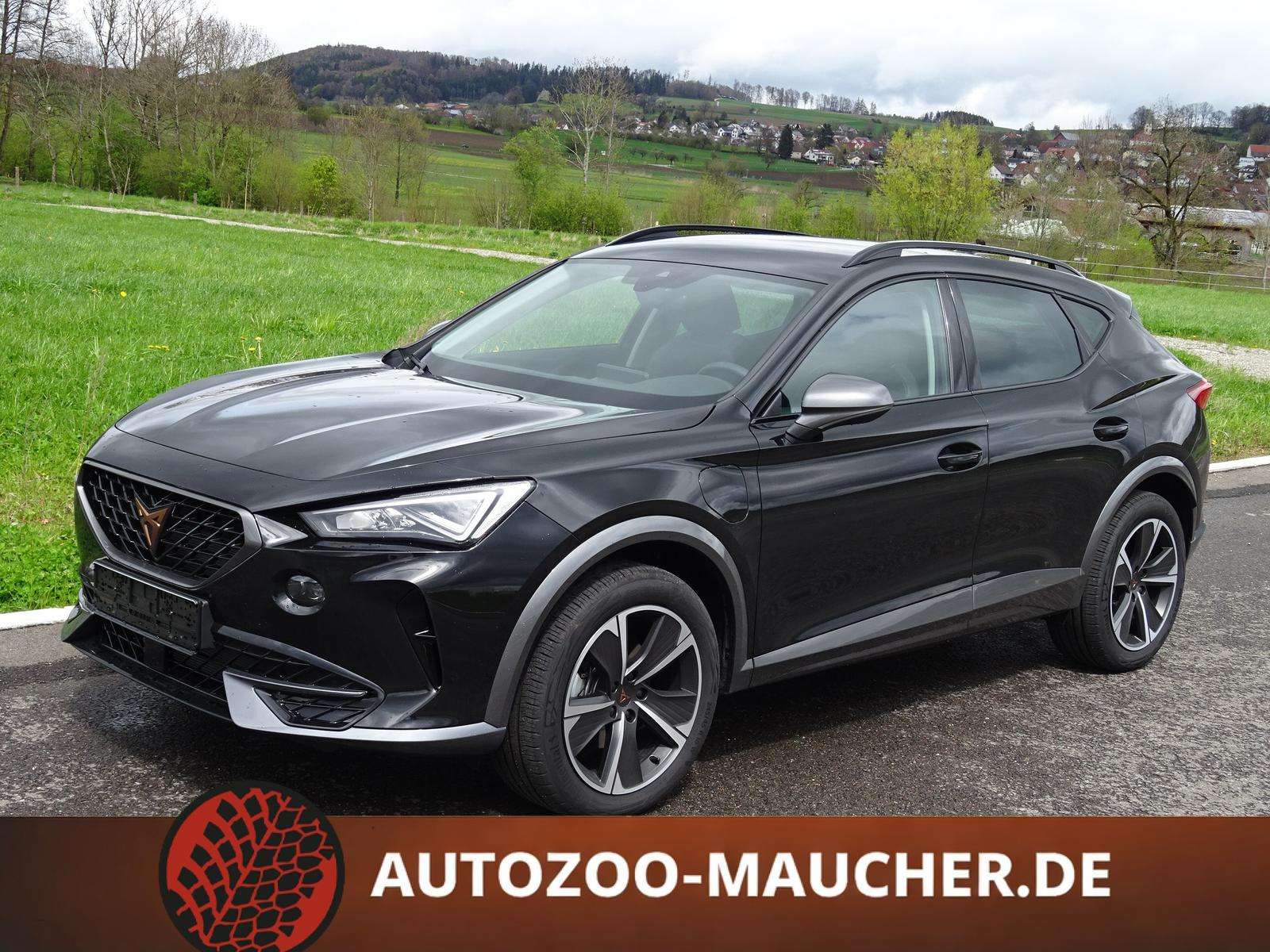 Fahrzeugbild eines CUPRA Formentor