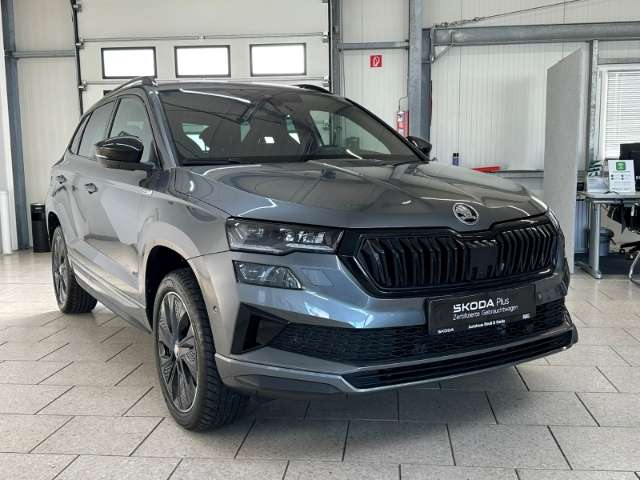 Fahrzeugbild eines Skoda Karoq