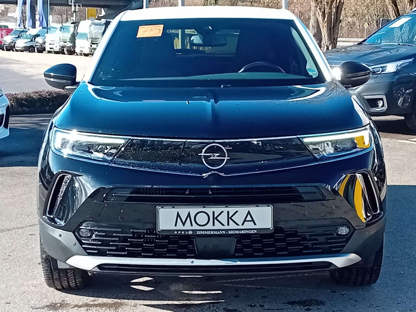 Fahrzeugbild eines Opel Mokka