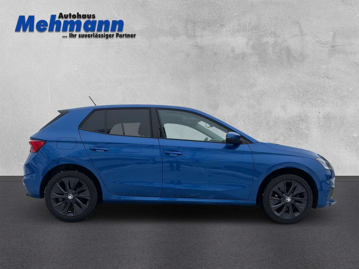 Fahrzeugbild eines Skoda Fabia