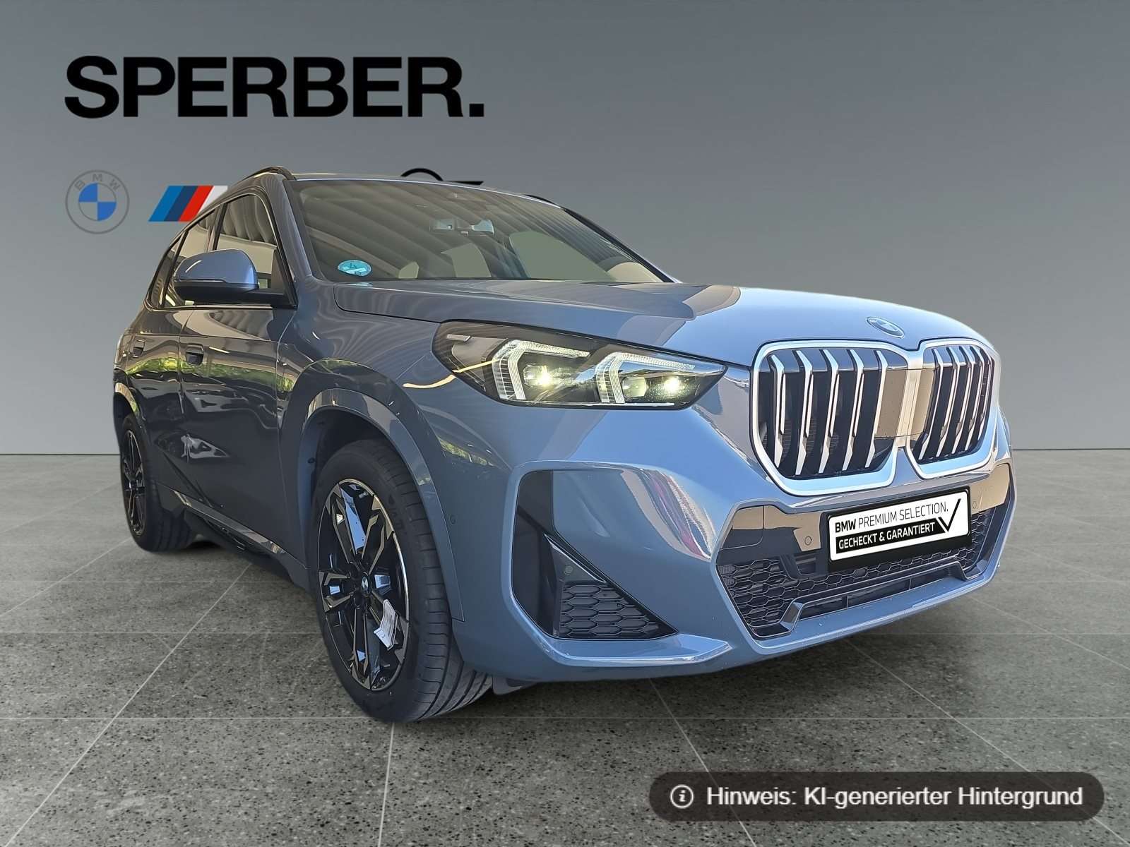 Fahrzeugbild eines BMW X1