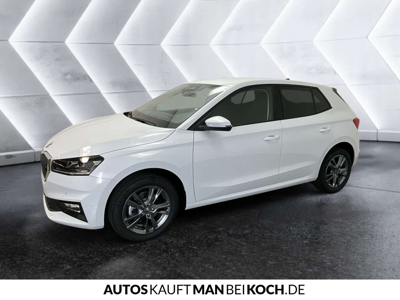 Fahrzeugbild eines Skoda Fabia