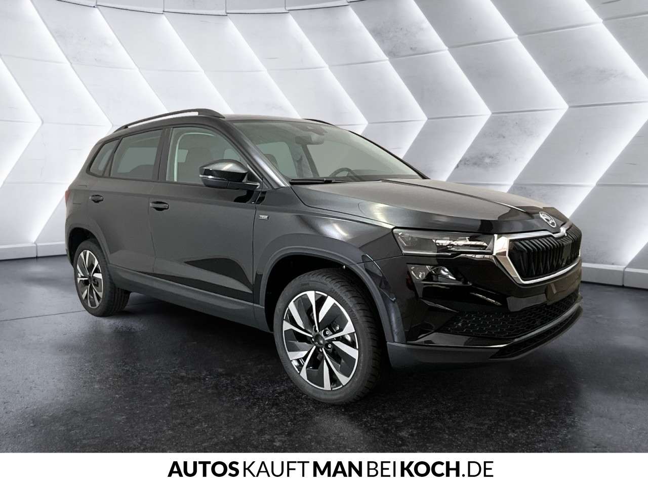 Fahrzeugbild eines Skoda Karoq