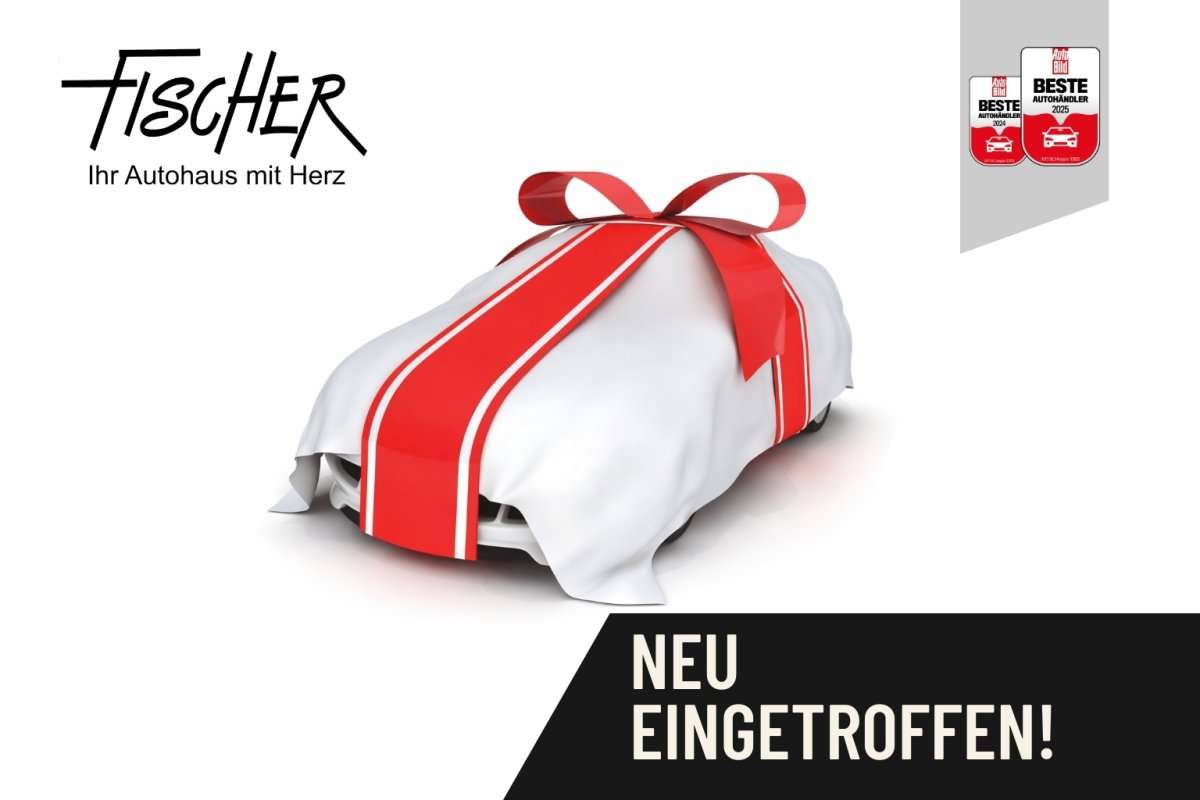 Fahrzeugbild eines Dacia Duster