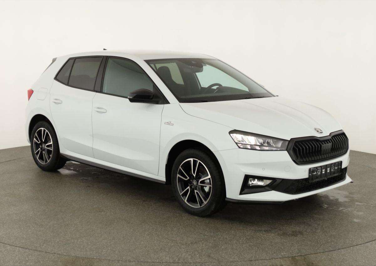 Fahrzeugbild eines Skoda Fabia