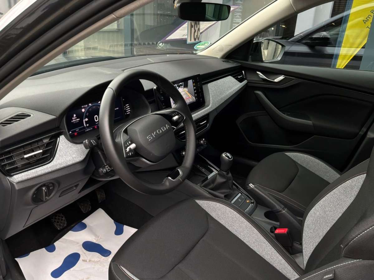 Fahrzeugbild eines Skoda Kamiq