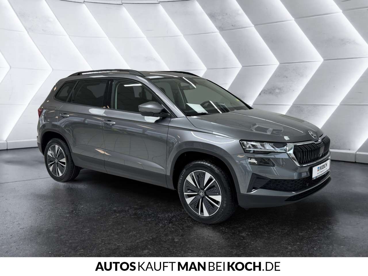 Fahrzeugbild eines Skoda Karoq